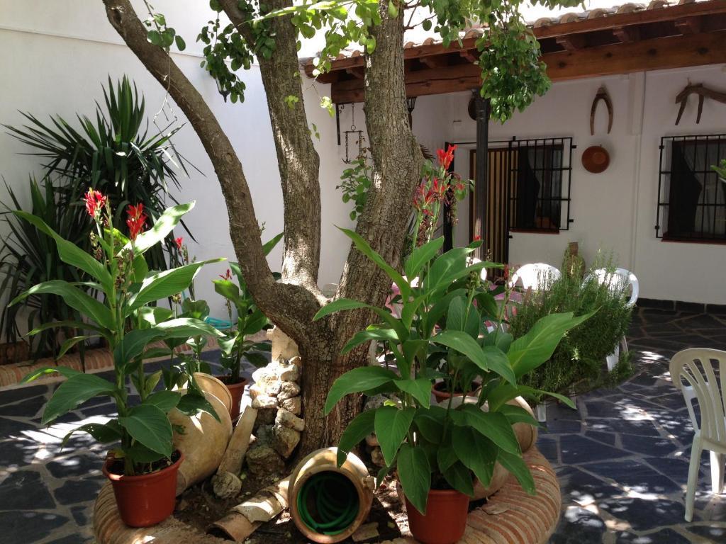 Casa Rural El Rincon Del Infante Villa de Don Fadrique Buitenkant foto